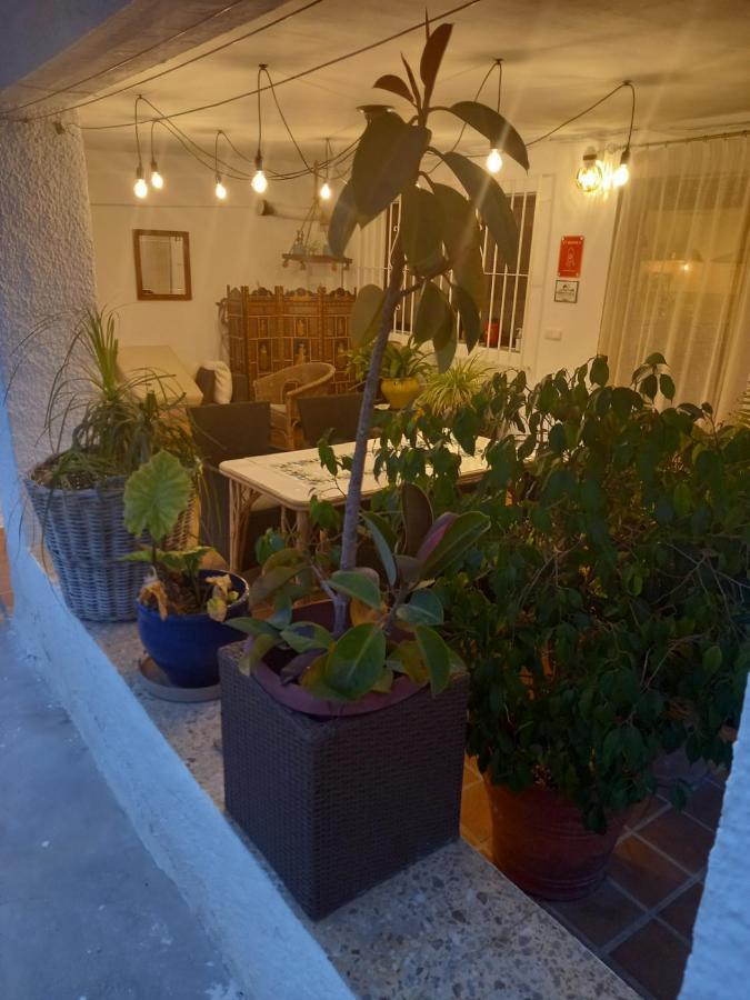 Casa Eline De Lujo Casco Antiguo Altea Piscina Privada Y Jardin别墅 外观 照片