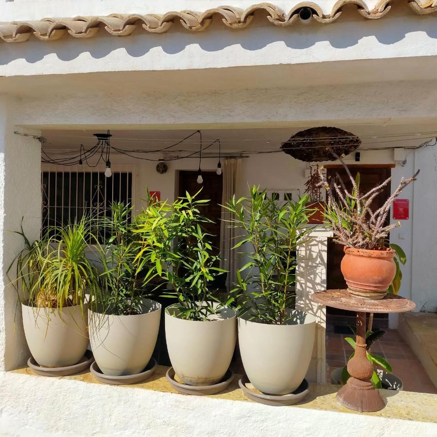 Casa Eline De Lujo Casco Antiguo Altea Piscina Privada Y Jardin别墅 外观 照片