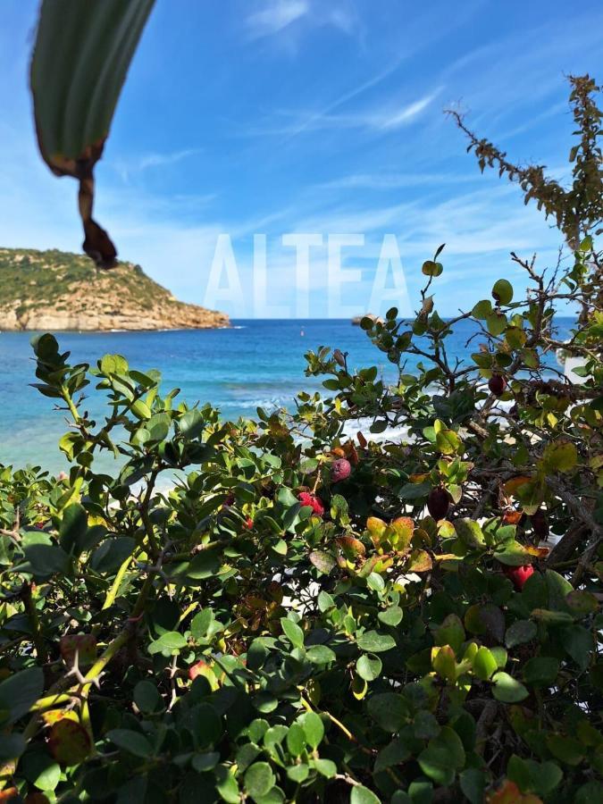 Casa Eline De Lujo Casco Antiguo Altea Piscina Privada Y Jardin别墅 外观 照片