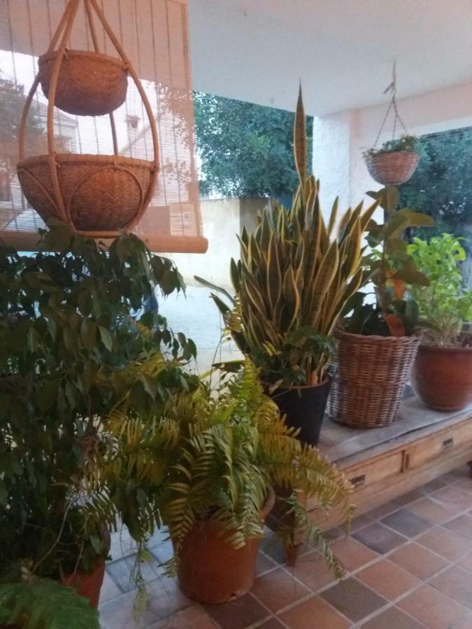Casa Eline De Lujo Casco Antiguo Altea Piscina Privada Y Jardin别墅 外观 照片